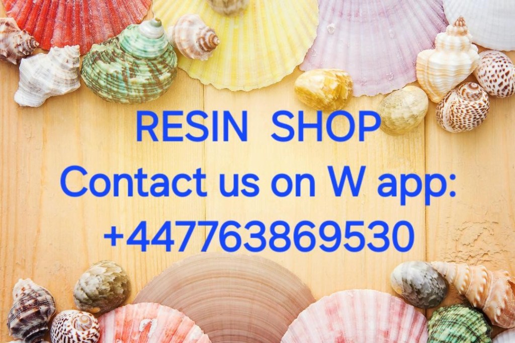 cover photo for website with mixed seashells